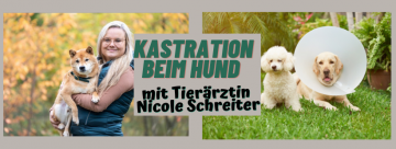 Kopie von Kopie von Kopie von Streber-Kurs (5)