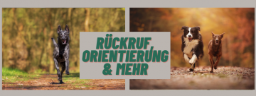 Kopie von Kopie von Kopie von Kopie von Kopie von Kopie von Streber-Kurs