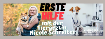 Kopie von Streber-Kurs